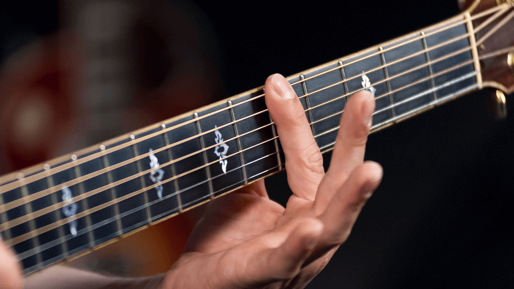 Fingers Frets And Strings Guitar Lessons For Beginners